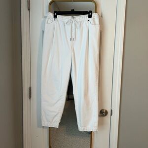 Banana Republic Barrel Jean